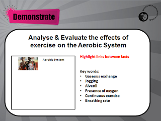 Create A Graphic Organizer To Compare Aerobic And Anaerobic Processes