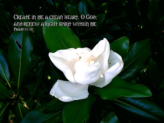 Create In Me A Clean Heart Psalm 51