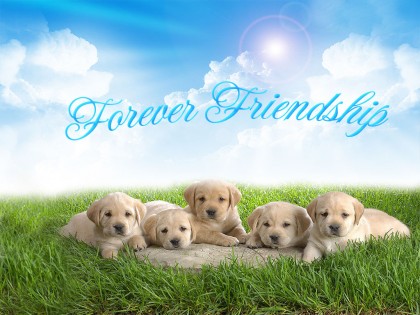 Cute Friendship Wallpapers Free Download