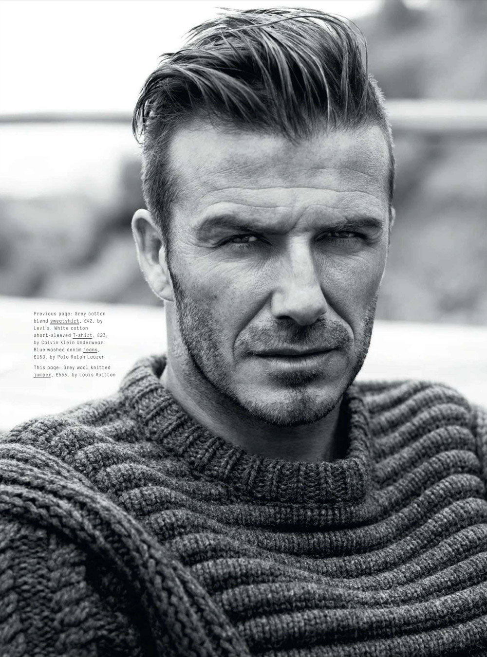 David Beckham Hairstyles Quiff