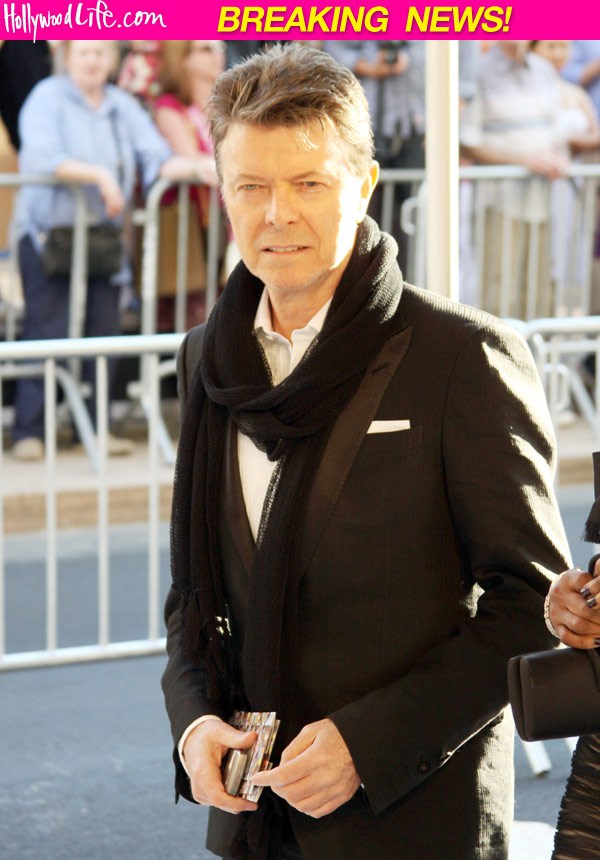 David Bowie 2013 Album