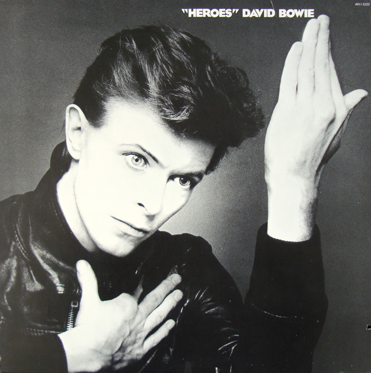 David Bowie Heroes