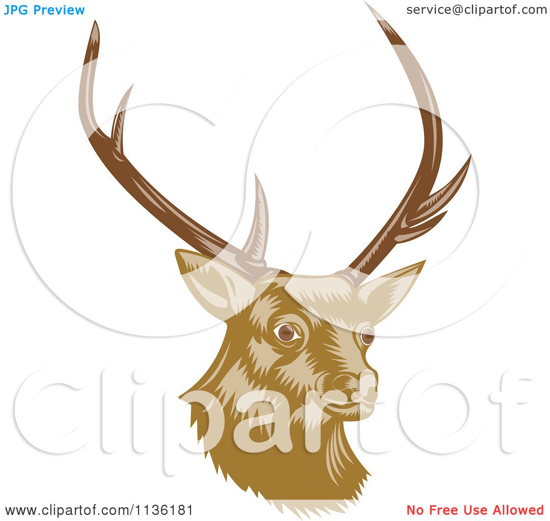 Deer Antlers Clipart