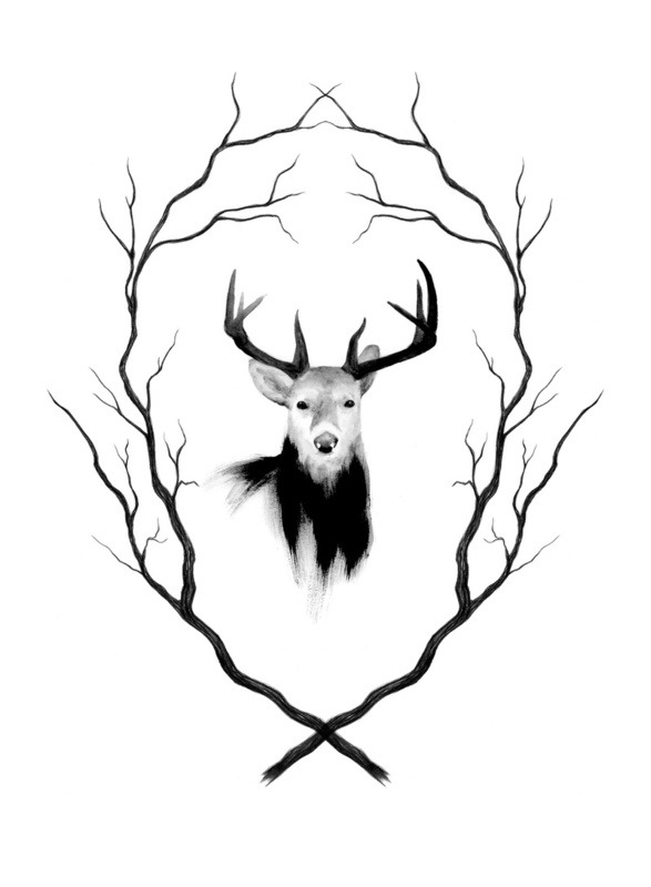 Deer Antlers Drawing