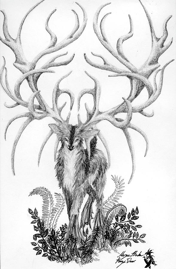 Deer Antlers Drawing