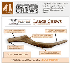 Deer Antlers For Dogs