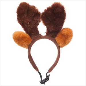 Deer Antlers For Dogs Reviews