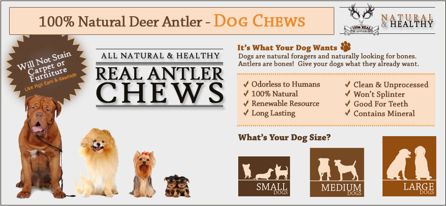 Deer Antlers For Dogs Safe