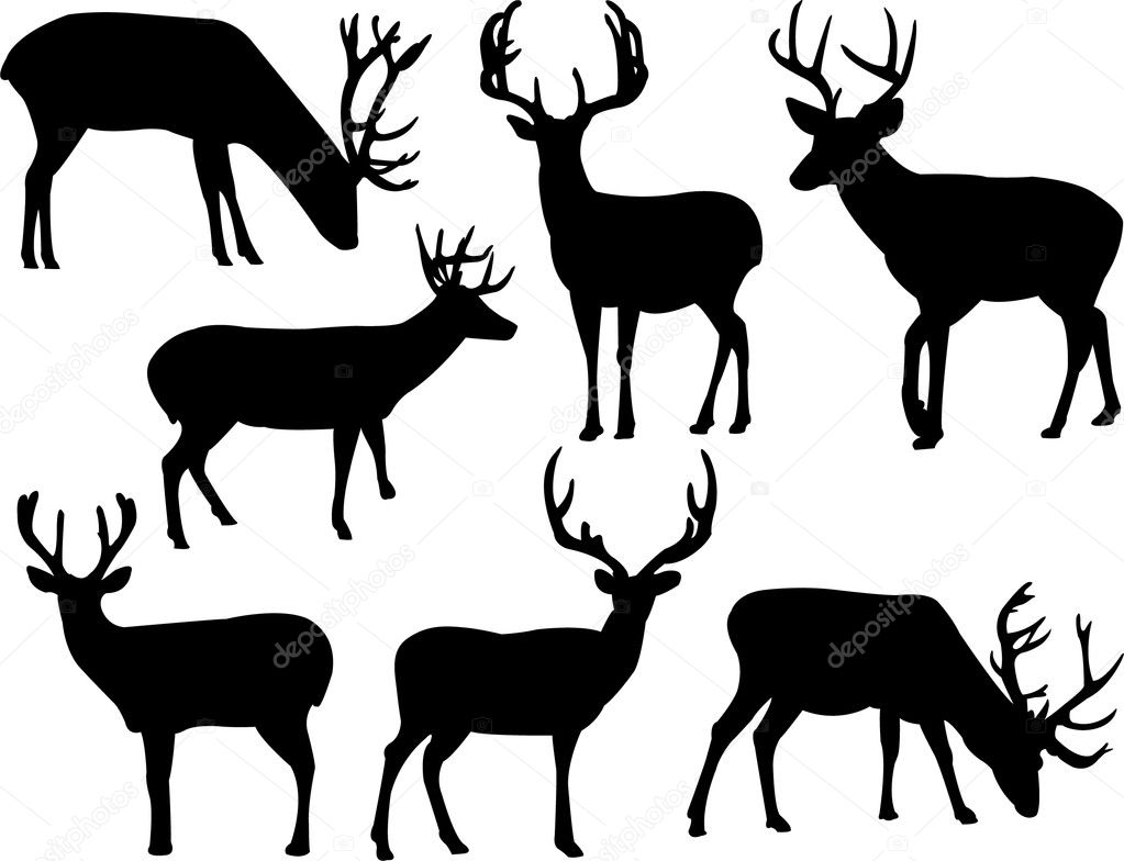 Deer Antlers Silhouette