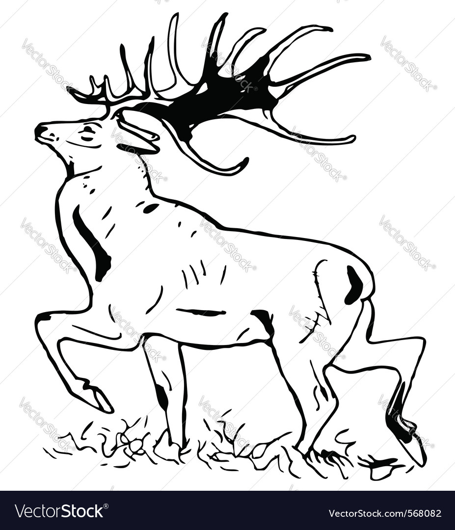 Deer Antlers Vector