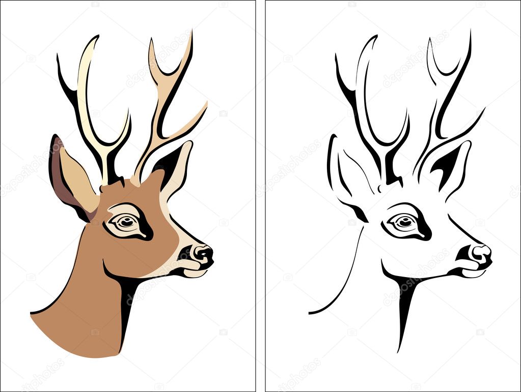 Deer Antlers Vector