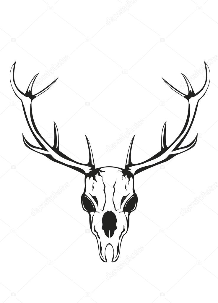 Deer Antlers Vector