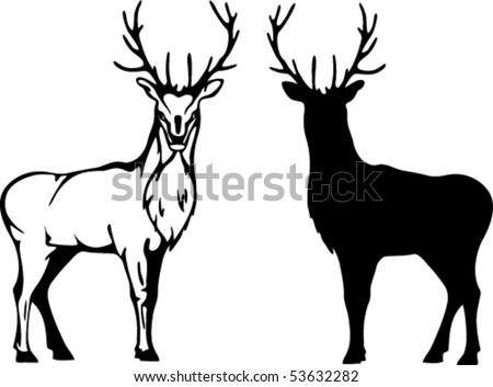 Deer Antlers Vector