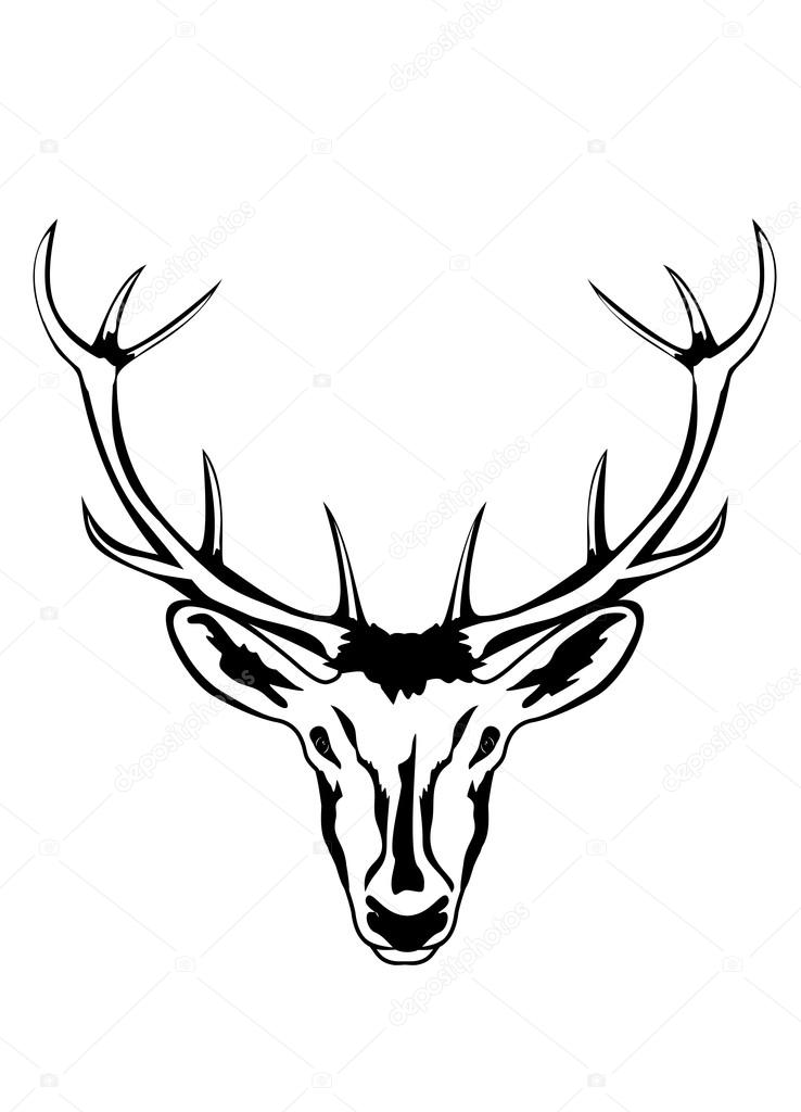 Deer Antlers Vector