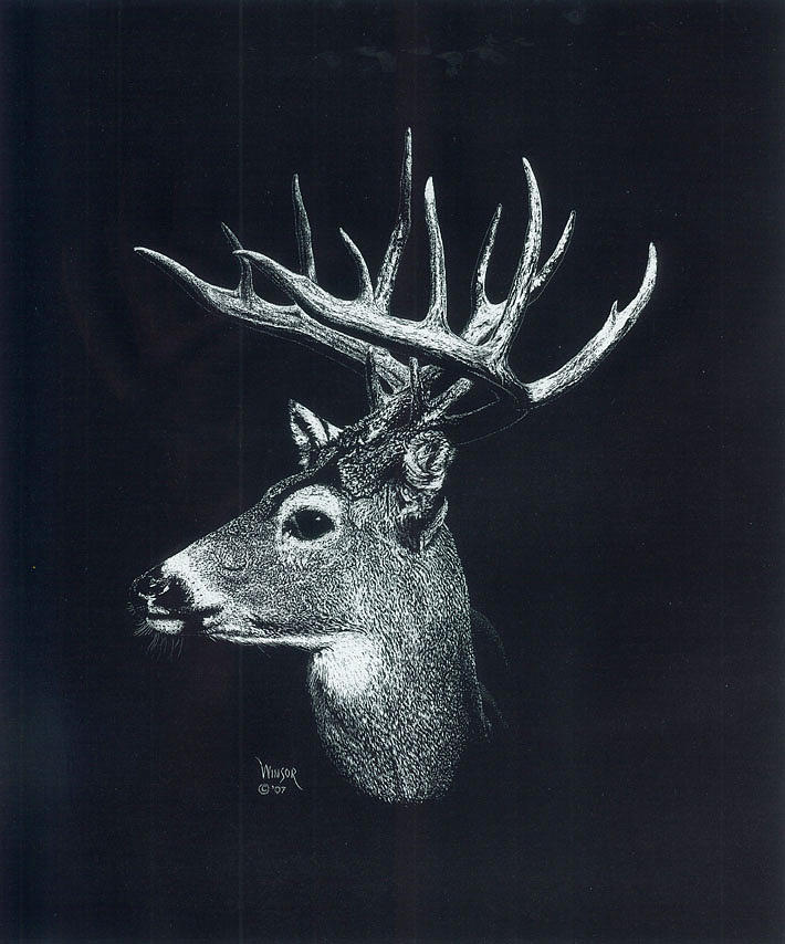 Deer Head Drawings