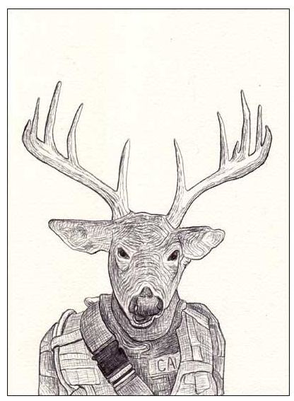 Deer Head Drawings