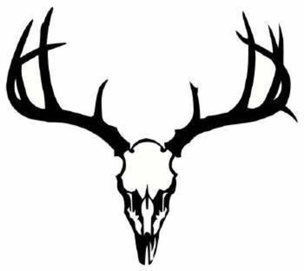 Deer Head Logo