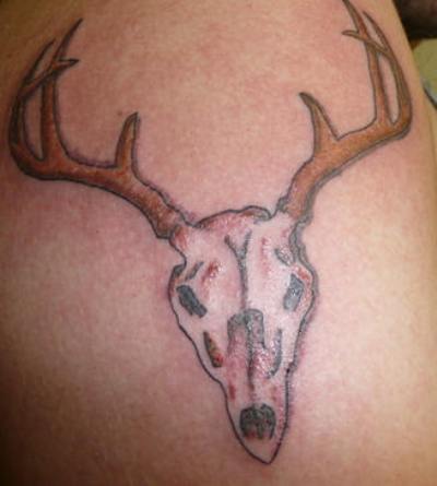 Deer Head Tattoo Drawings