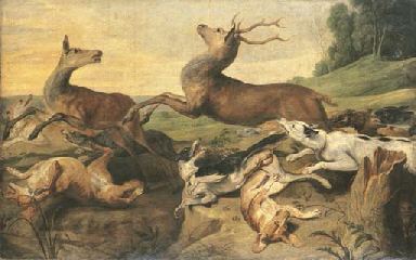 Deer Hunting Dogs