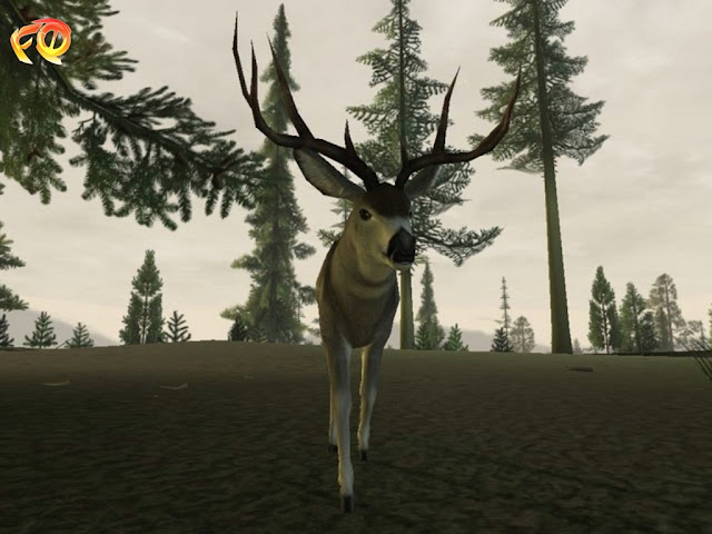 Deer Hunting Games For Pc