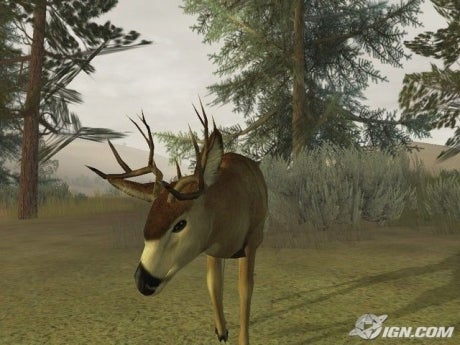 Deer Hunting Games For Pc