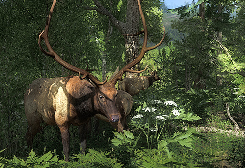 Deer Hunting Games For Pc Free Download