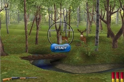 Deer Hunting Games Online