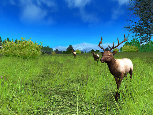 Deer Hunting Games Online Espn