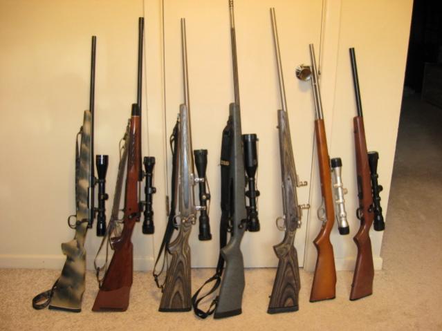 Deer Hunting Guns