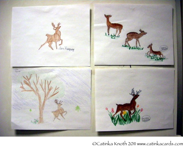 Deer Pictures For Kids