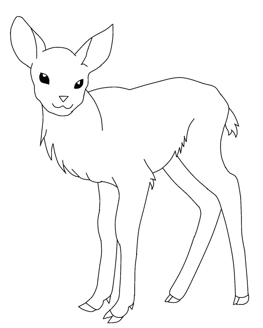 Deer Pictures To Color