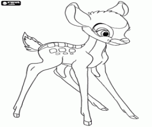 Deer Pictures To Color