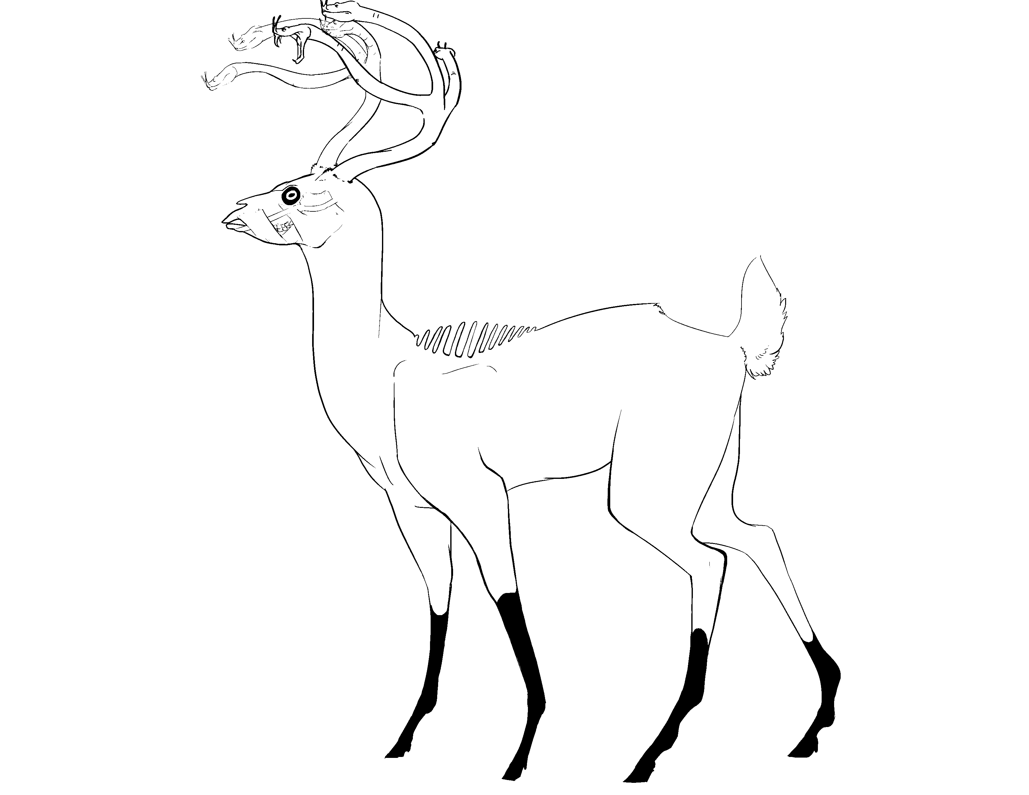 Deer Pictures To Color