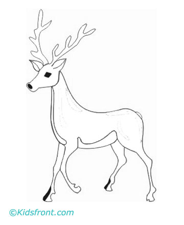 Deer Pictures To Color For Kids