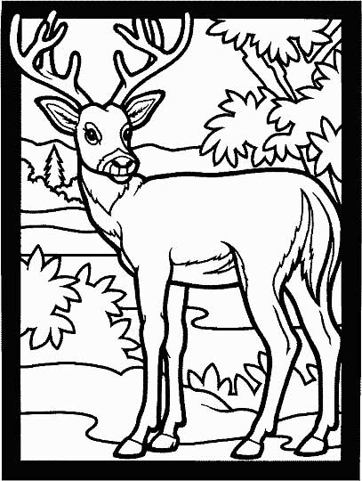 Deer Pictures To Color For Kids