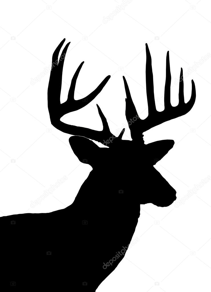 Deer Silhouette