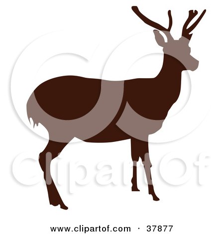 Deer Silhouette Art