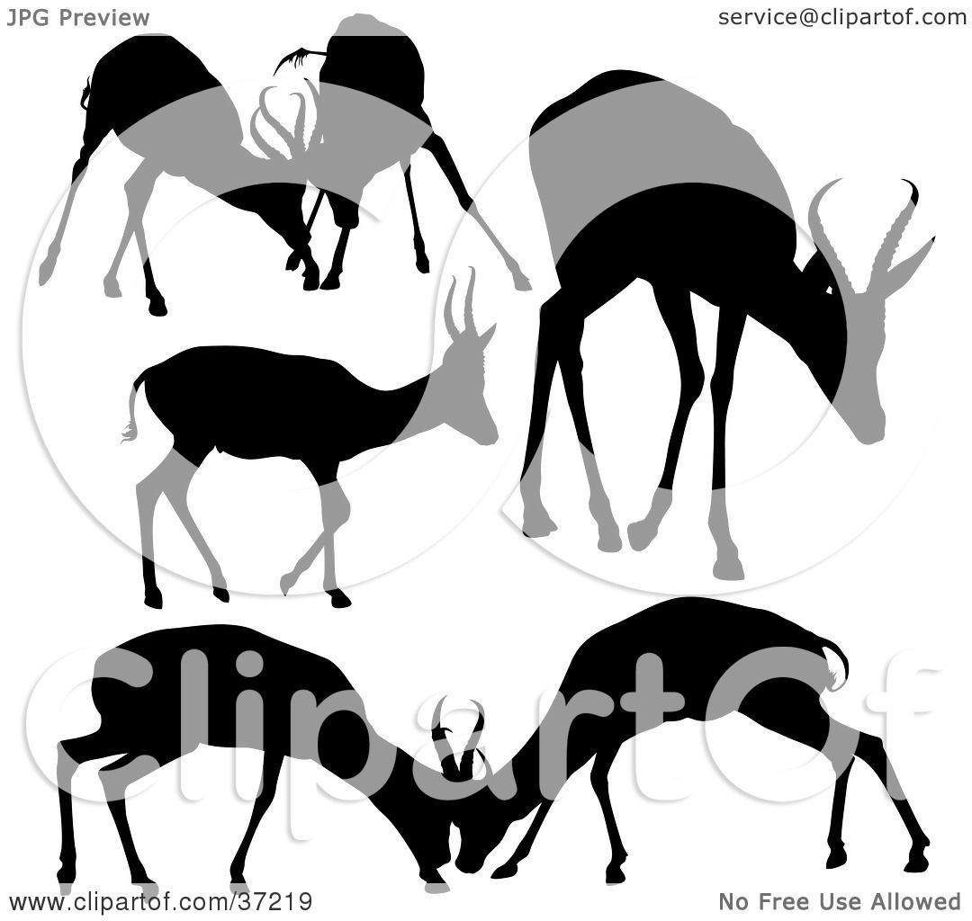 Deer Silhouette Clip Art Free