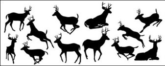 Deer Silhouette Tattoo