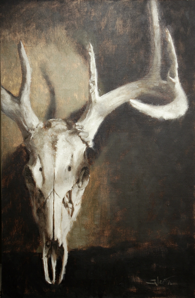 Deer Skull