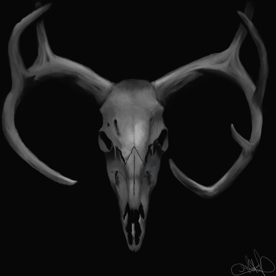 Deer Skull