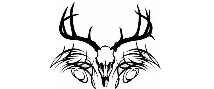 Deer Skull Tattoo Tumblr