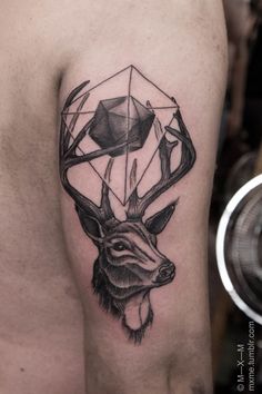 Deer Tattoo Tumblr