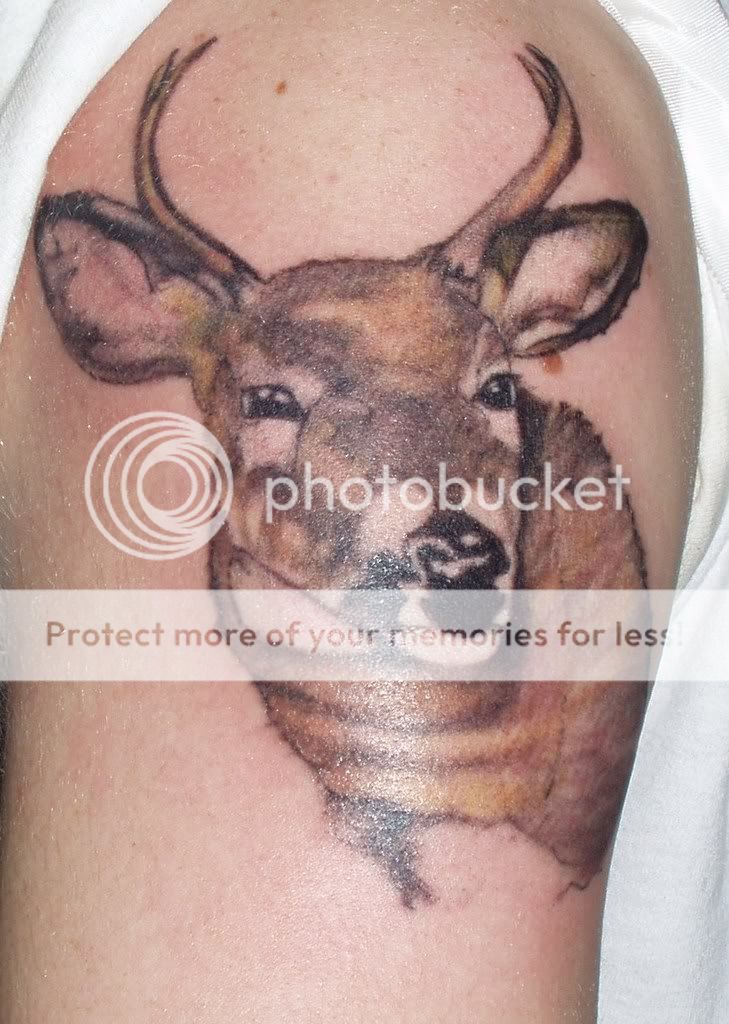 Deer Tattoos For Couples