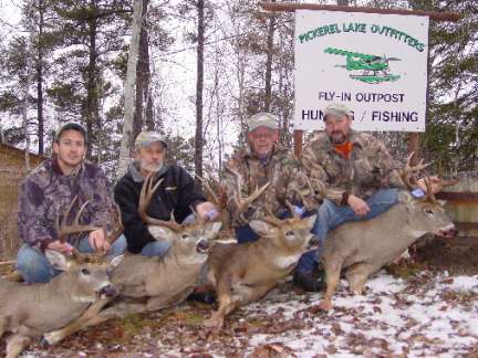 Deerhound Hunting