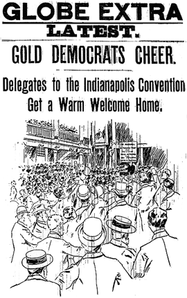 Democratic Party Platform 1896