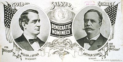 Democratic Party Platform 1896