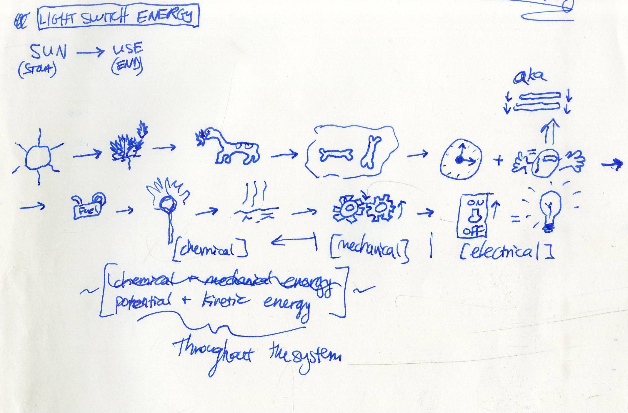 Detailed Photosynthesis Diagram