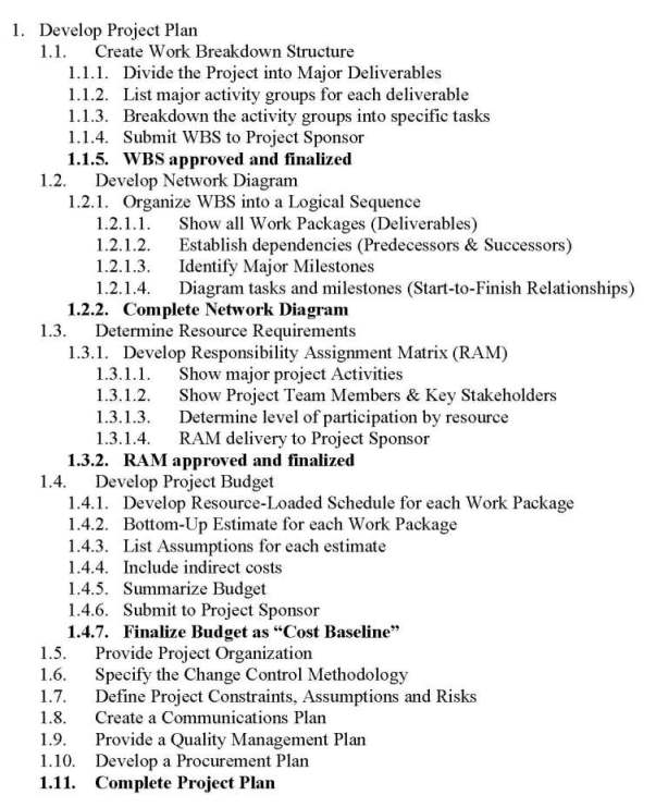 Develop Project Management Plan Example