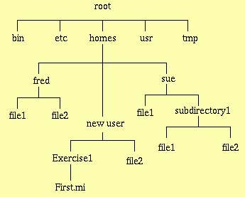 Directory Structure Diagram